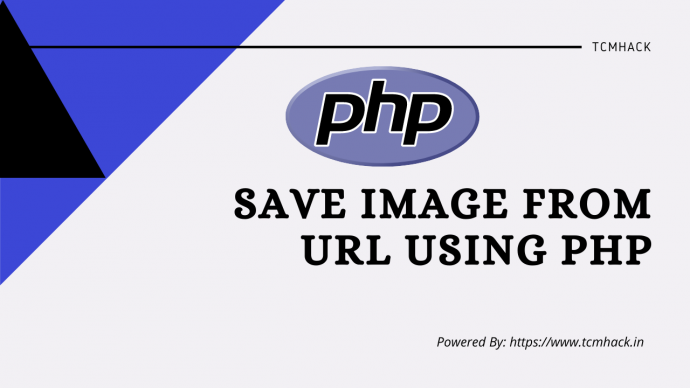 Save Image from URL using PHP